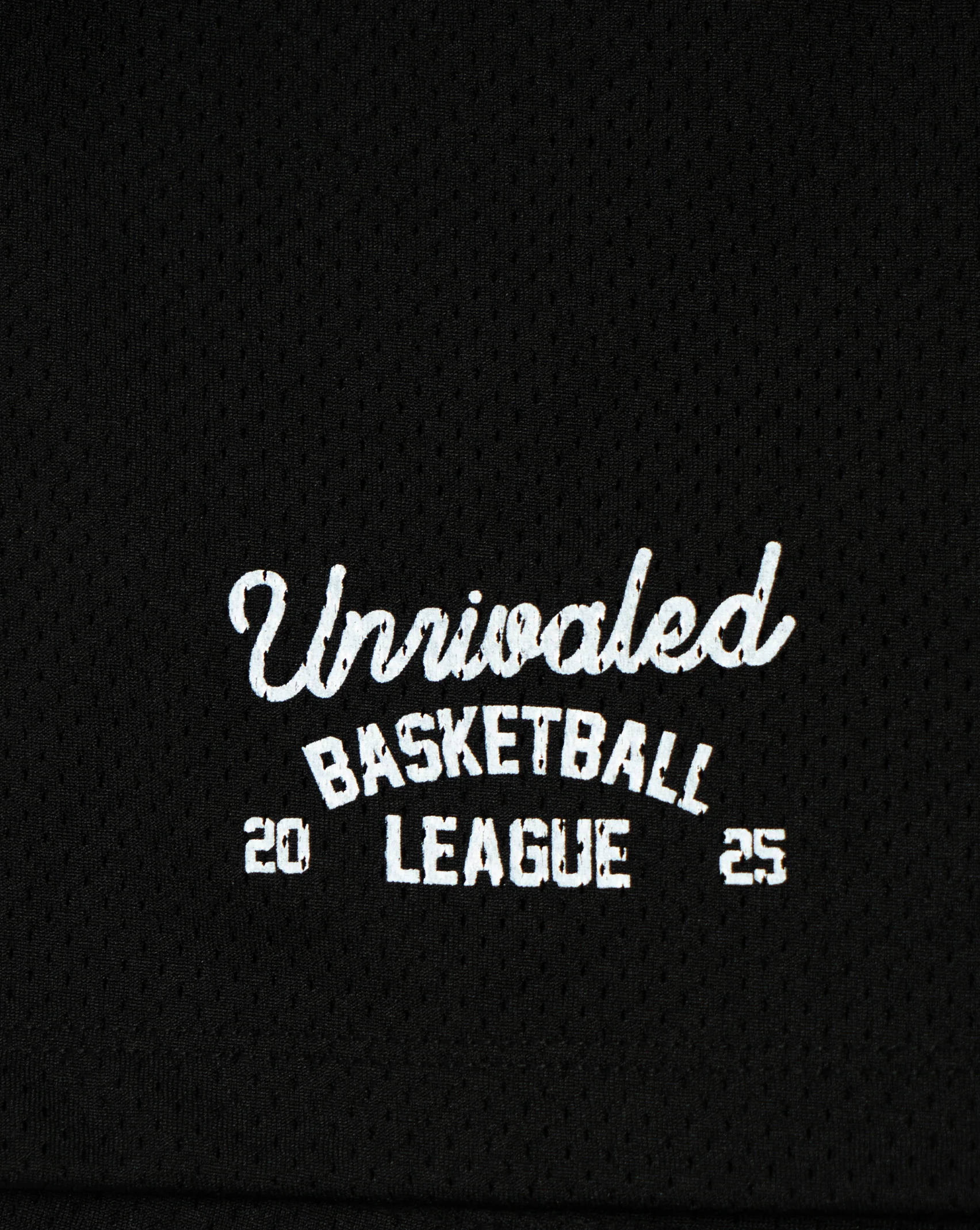 Heavyweight Mesh League Shorts - Black - Image 3